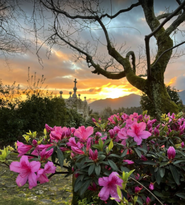 Vinte - Quinta da Boavista